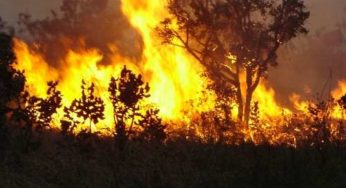 Polícia Militar Ambiental de Muriaé faz alerta sobre as queimadas e incêndios florestais